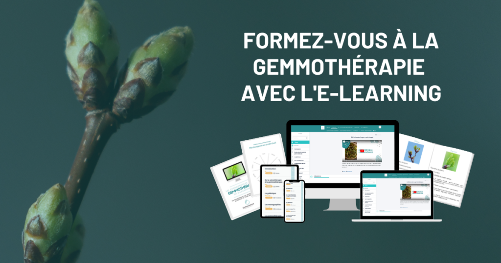formation e-learning gemmotherapie