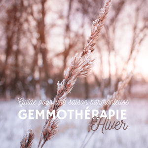 ebook hiver et gemmotherapie