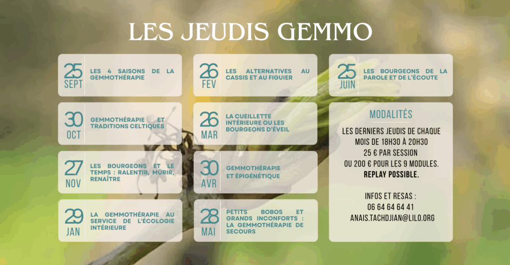 jeudis gemmo