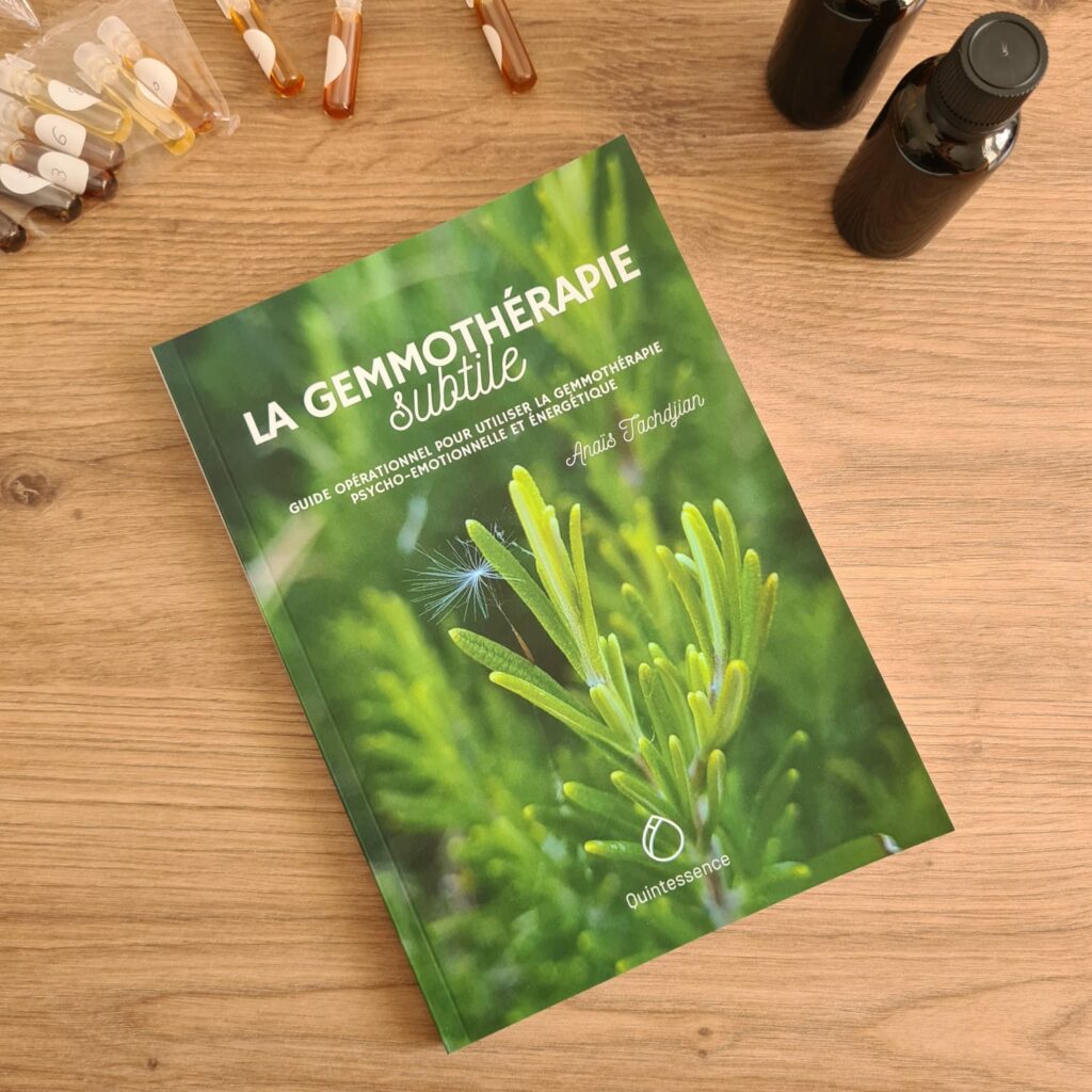 gemmothérapie subtile livre