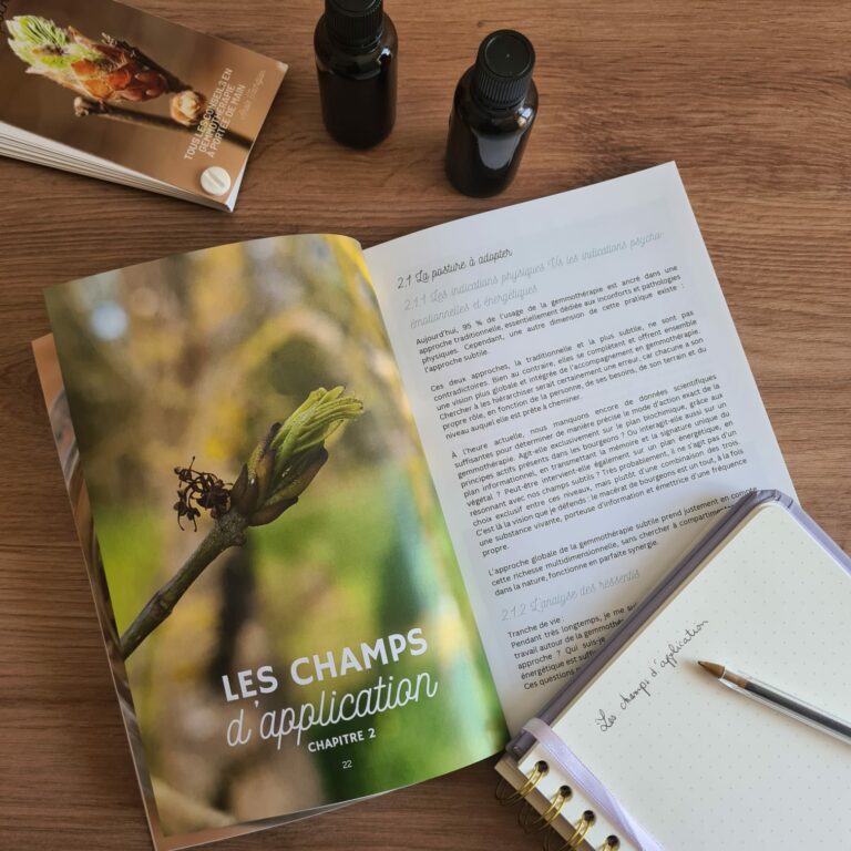 gemmothérapie subtile livre