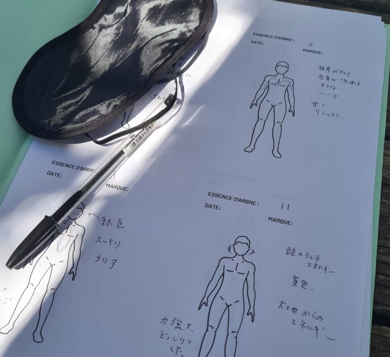 gemmothérapie subtile