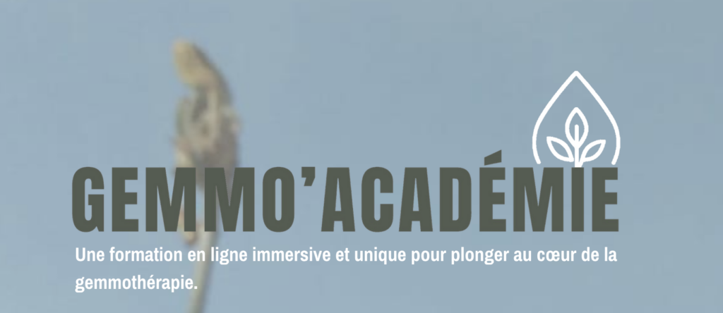 gemmo'académie
