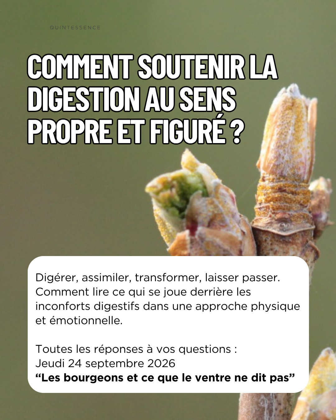 jeudis gemmo