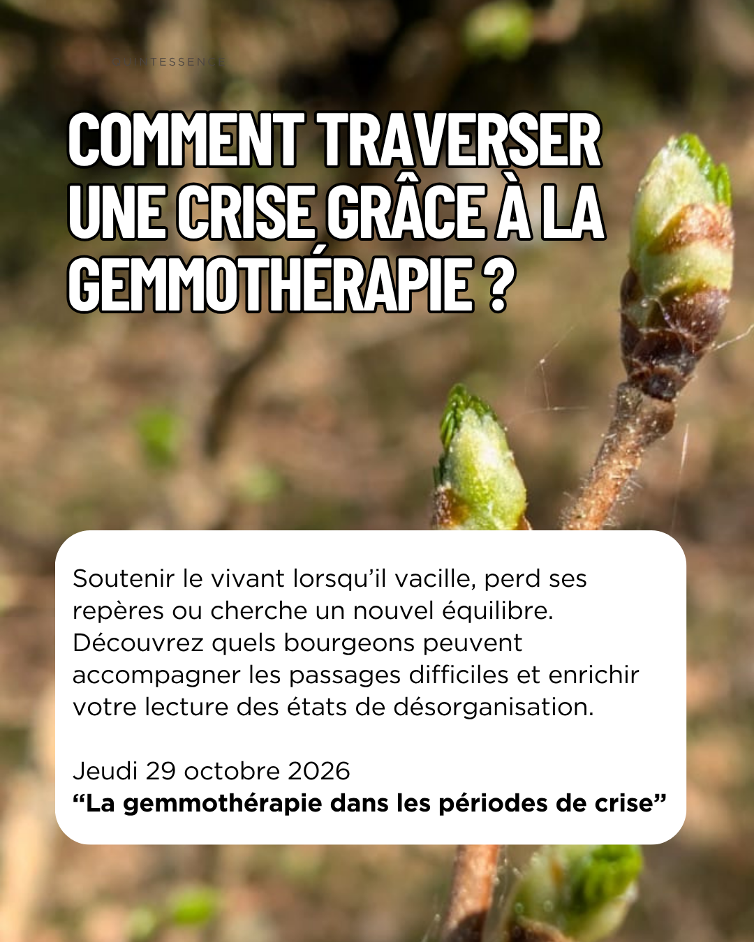 Les jeudis gemmo (cycle de webinaire) – Image 3