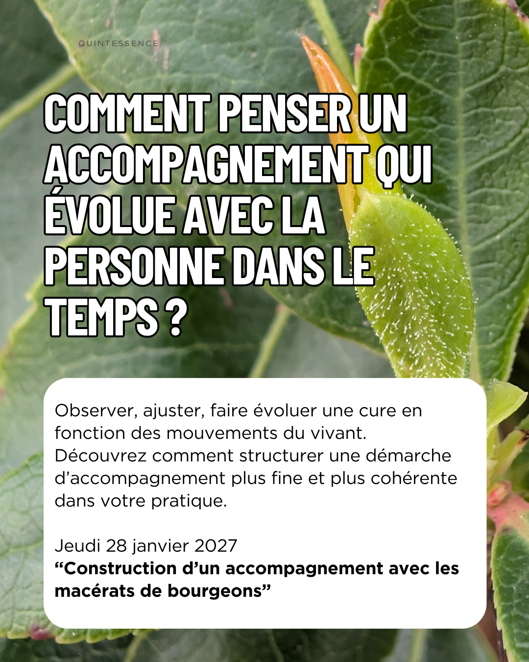 Les jeudis gemmo (cycle de webinaire) – Image 5