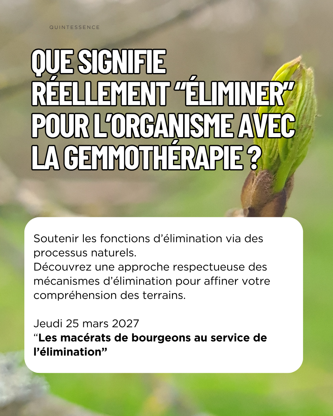 Les jeudis gemmo (cycle de webinaire) – Image 7