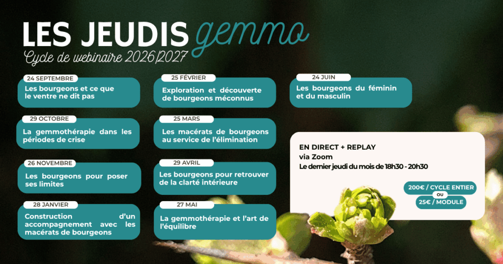 jeudi gemmo