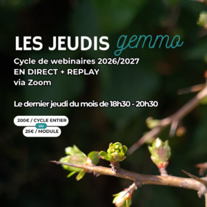 jeudi gemmo