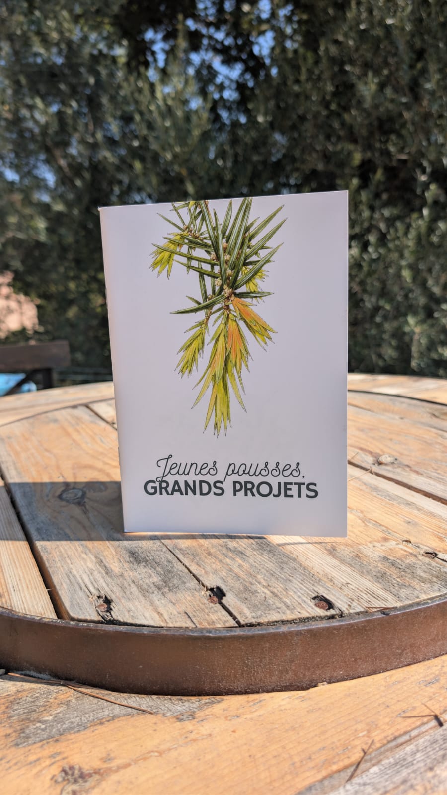 jeunes pousses grands projets