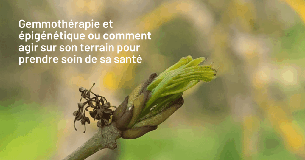 gemmothérapie et épigénétique